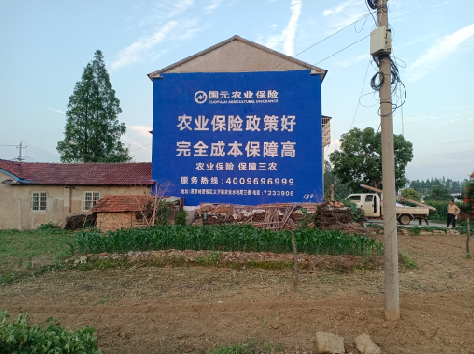 荔浦墙体广告为何受追捧？